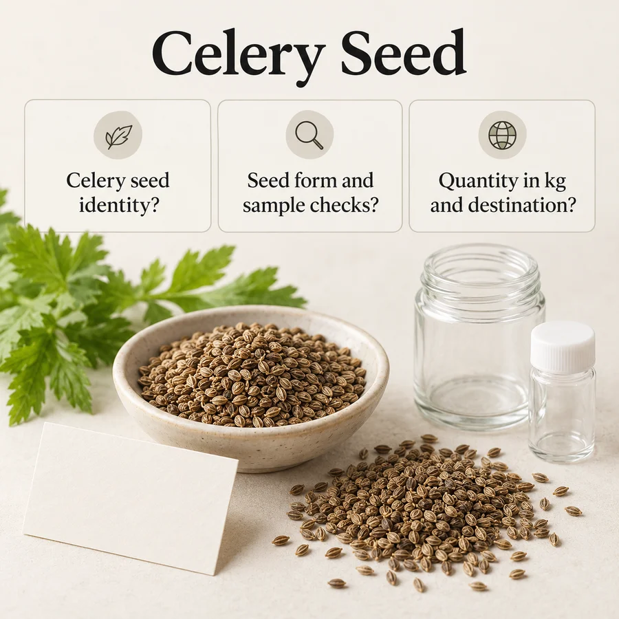 Celery Seed sourcing questions for a kg-based purchasing brief