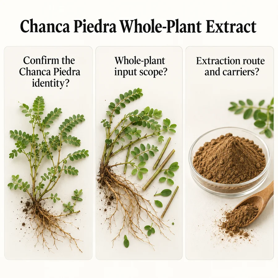 Chanca Piedra Whole-Plant Extract material-identity and evaluation discussion