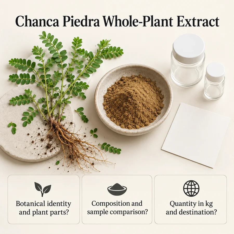 Chanca Piedra Whole-Plant Extract sourcing questions for a kg-based purchasing brief
