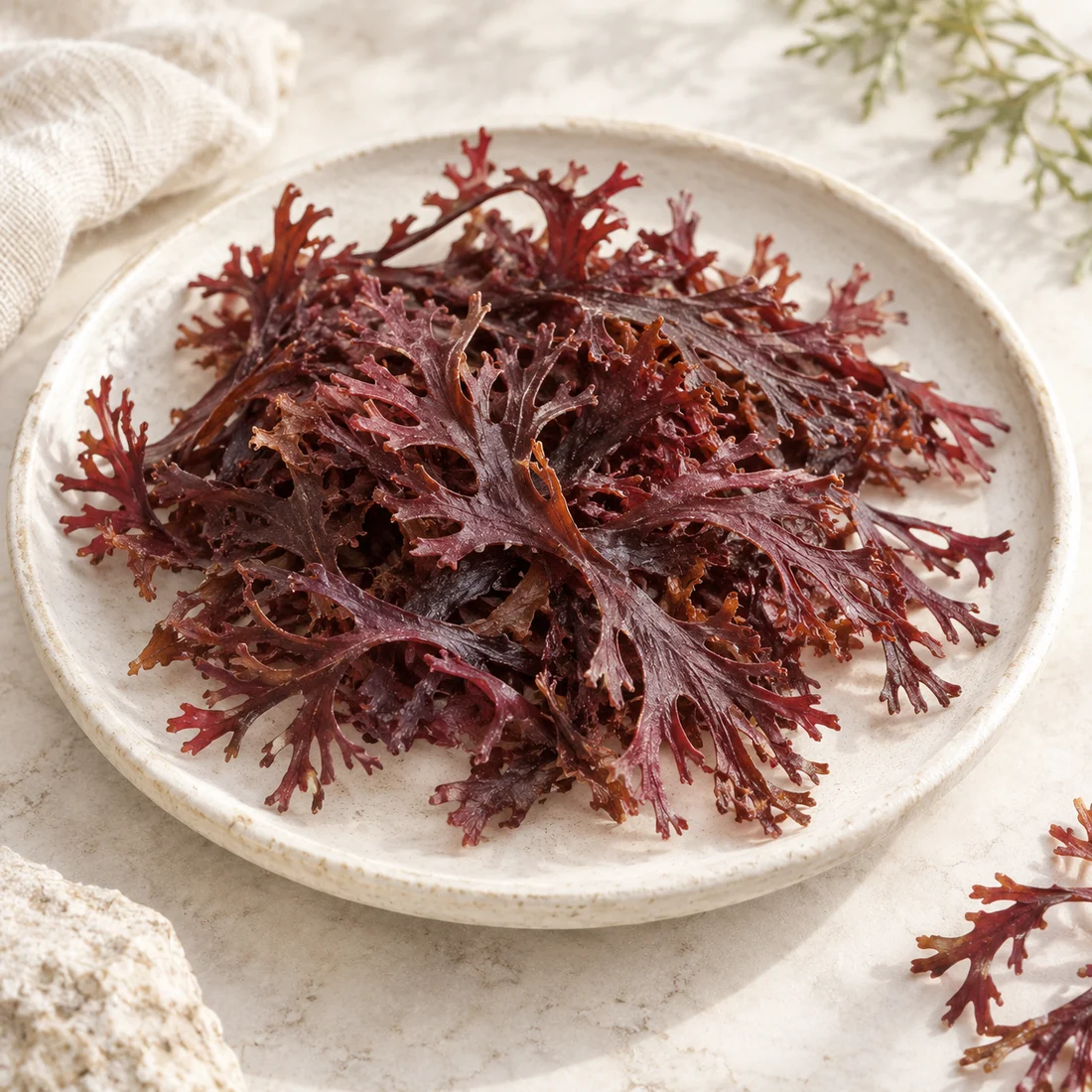 Chondrus crispus seaweed-input context