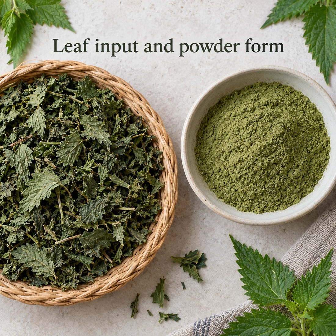 Nettle Leaf Powder ingredient sourcing