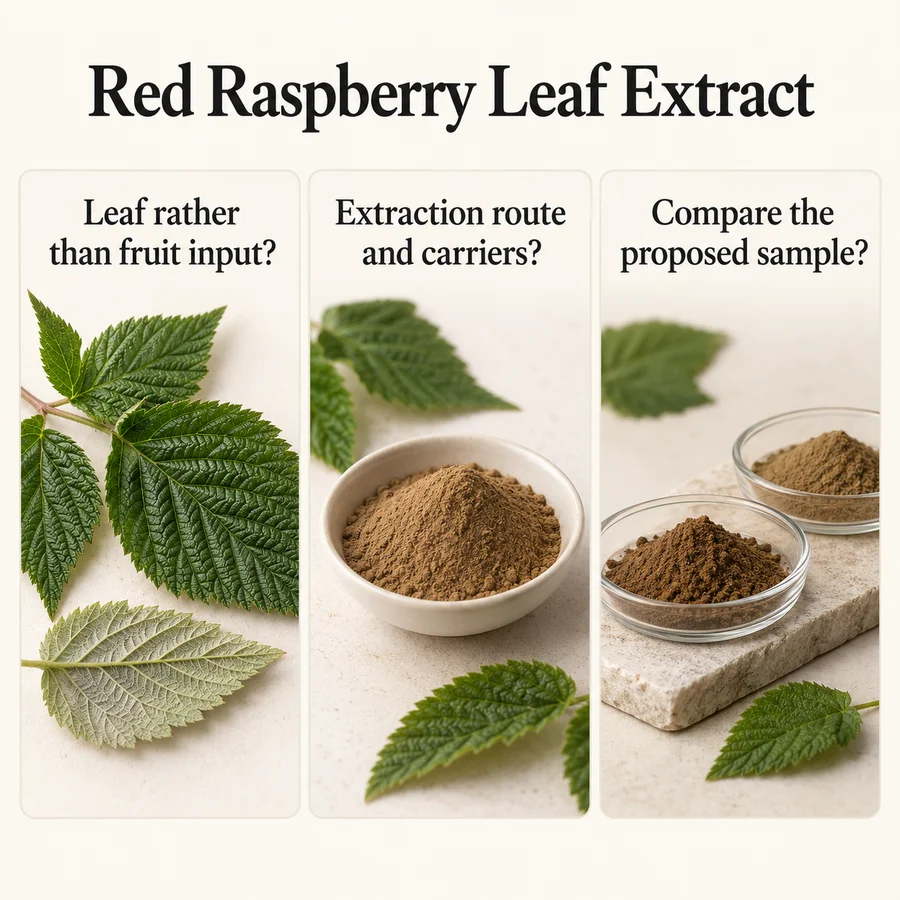 Red Raspberry Leaf Extract material-identity and evaluation discussion