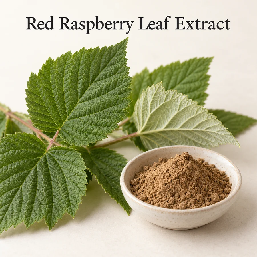 Red Raspberry Leaf Extract ingredient-form marketing presentation