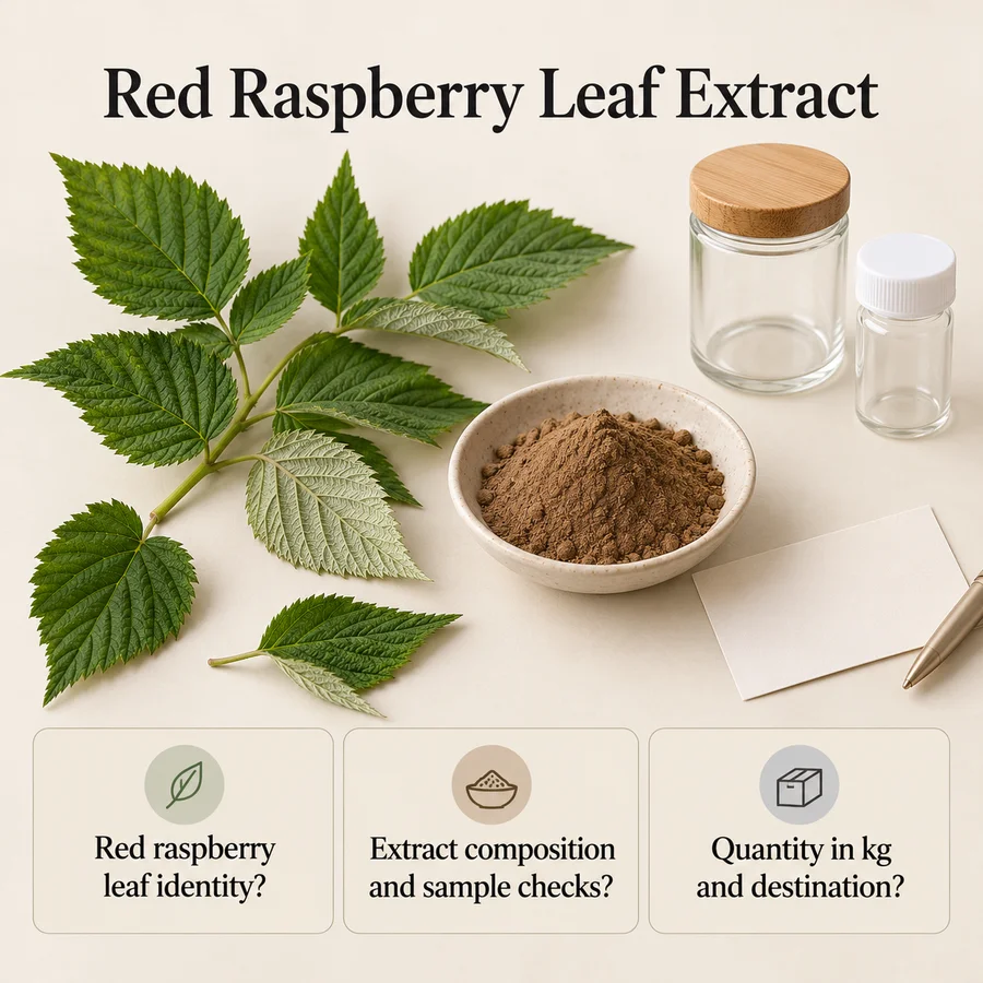 Red Raspberry Leaf Extract sourcing questions for a kg-based purchasing brief