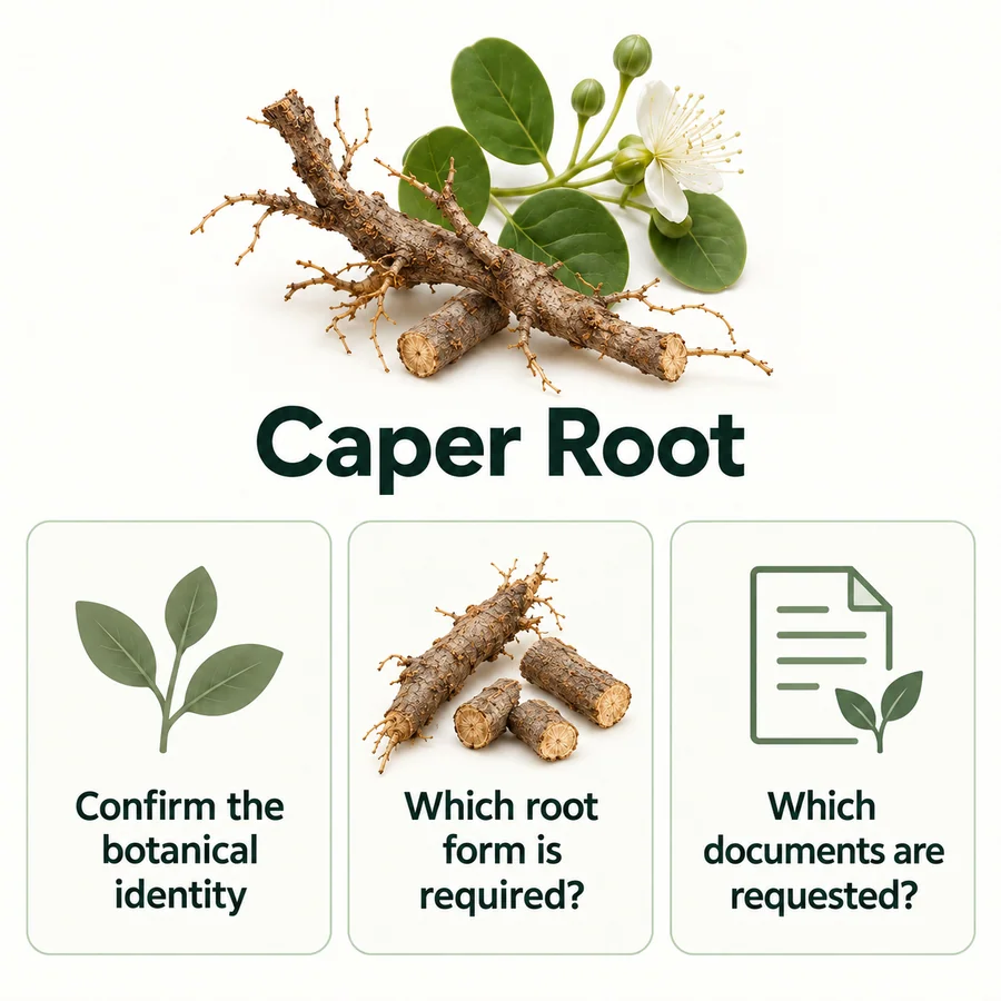 Caper Root procurement questions for identity, supplied form and documentation