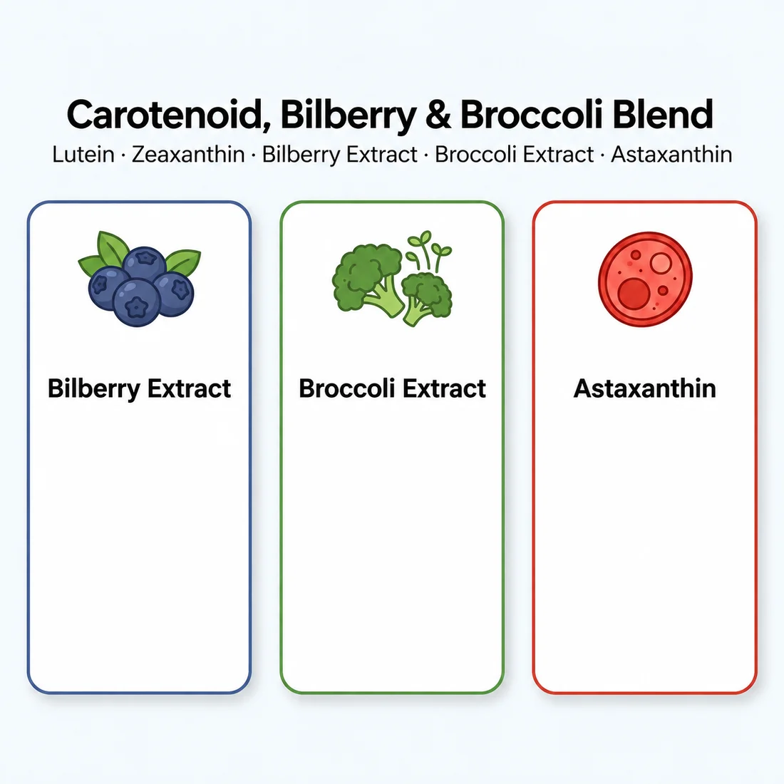 Carotenoid–Bilberry–Broccoli Ingredient Blend ingredient sourcing