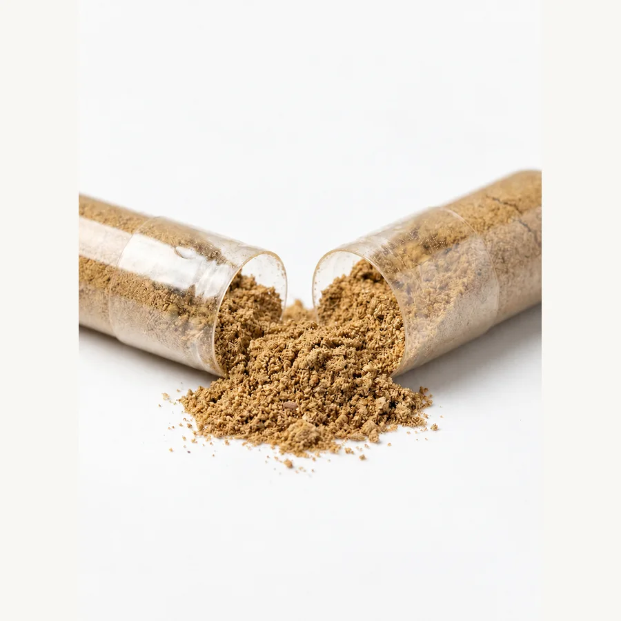 Botanical powder texture and open-capsule formulation context