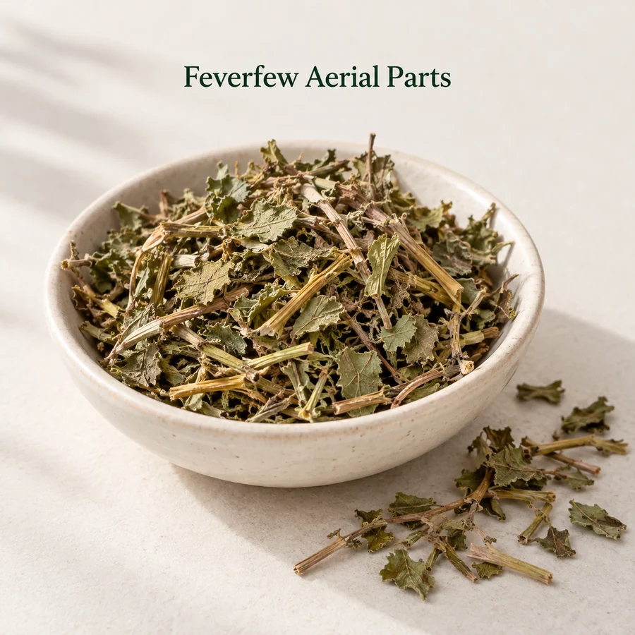 Feverfew aerial parts botanical material marketing visual