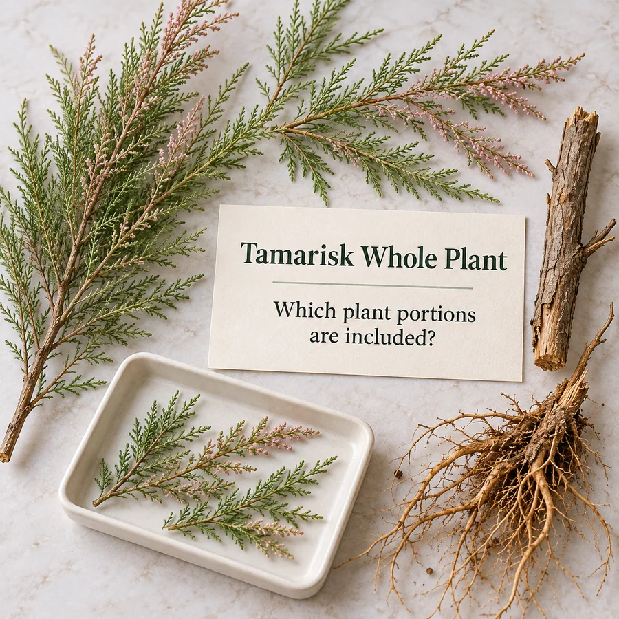 Whole-plant composition and preparation discussion for Tamarisk ingredient sourcing
