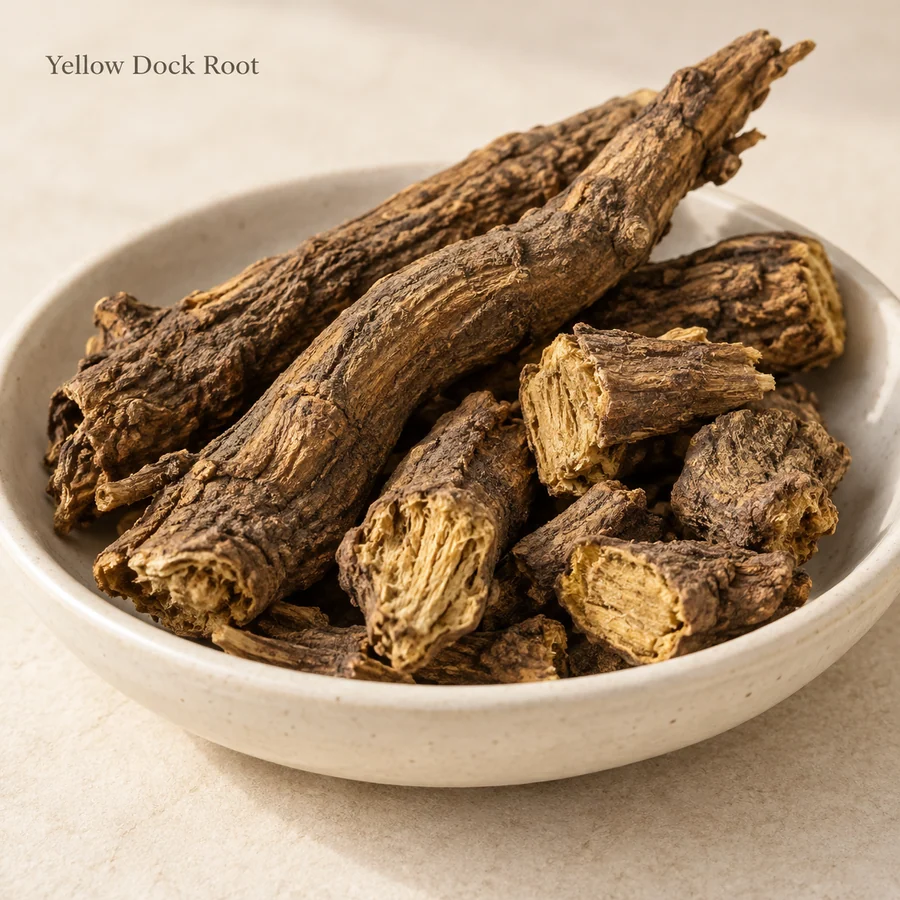 Yellow dock root botanical material marketing visual