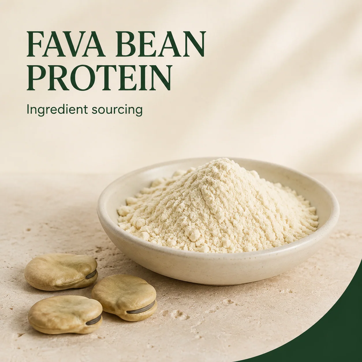 Fava Bean Protein