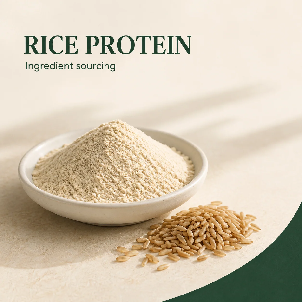 Rice Protein