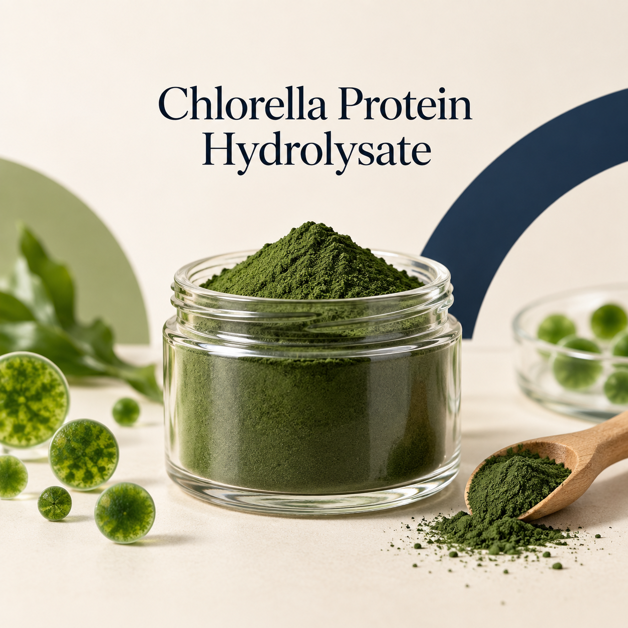 Chlorella Protein Hydrolysate ingredient sourcing presentation