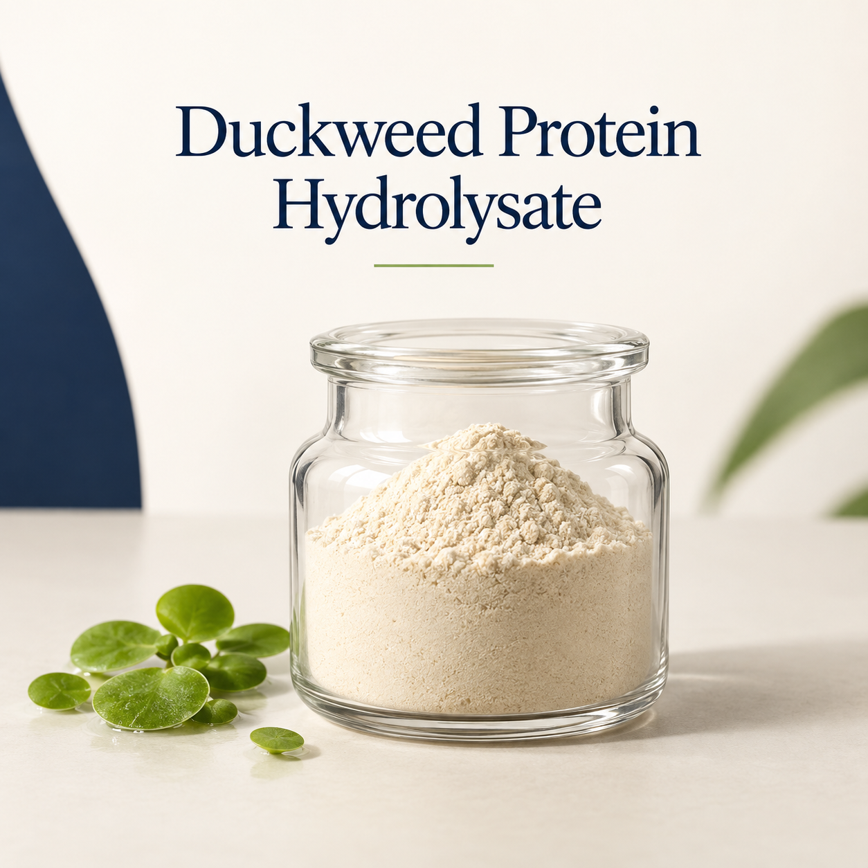 Duckweed Protein Hydrolysate ingredient sourcing presentation