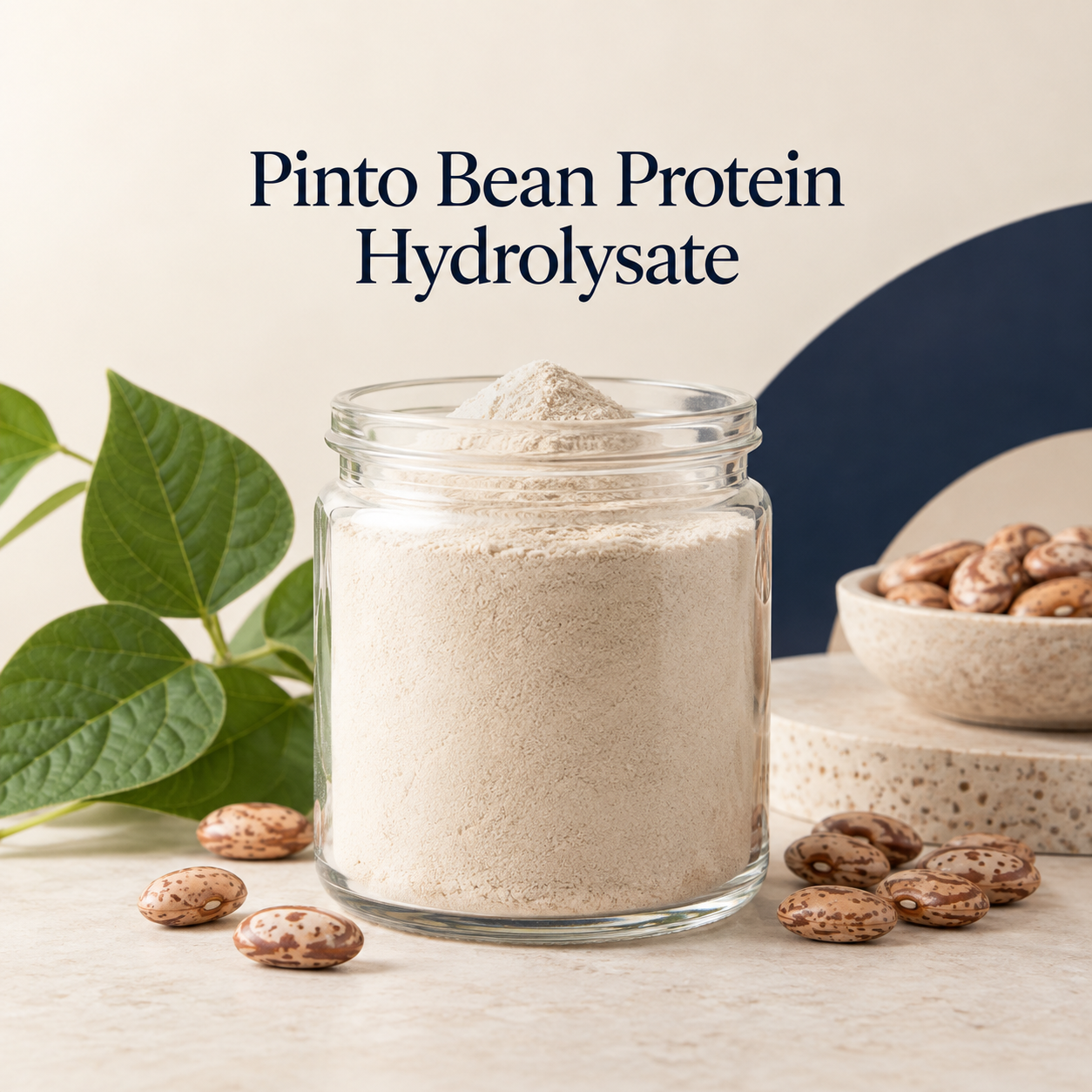 Pinto Bean Protein Hydrolysate ingredient sourcing presentation