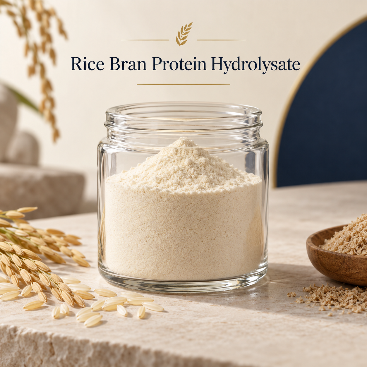 Rice Bran Protein Hydrolysate ingredient sourcing presentation
