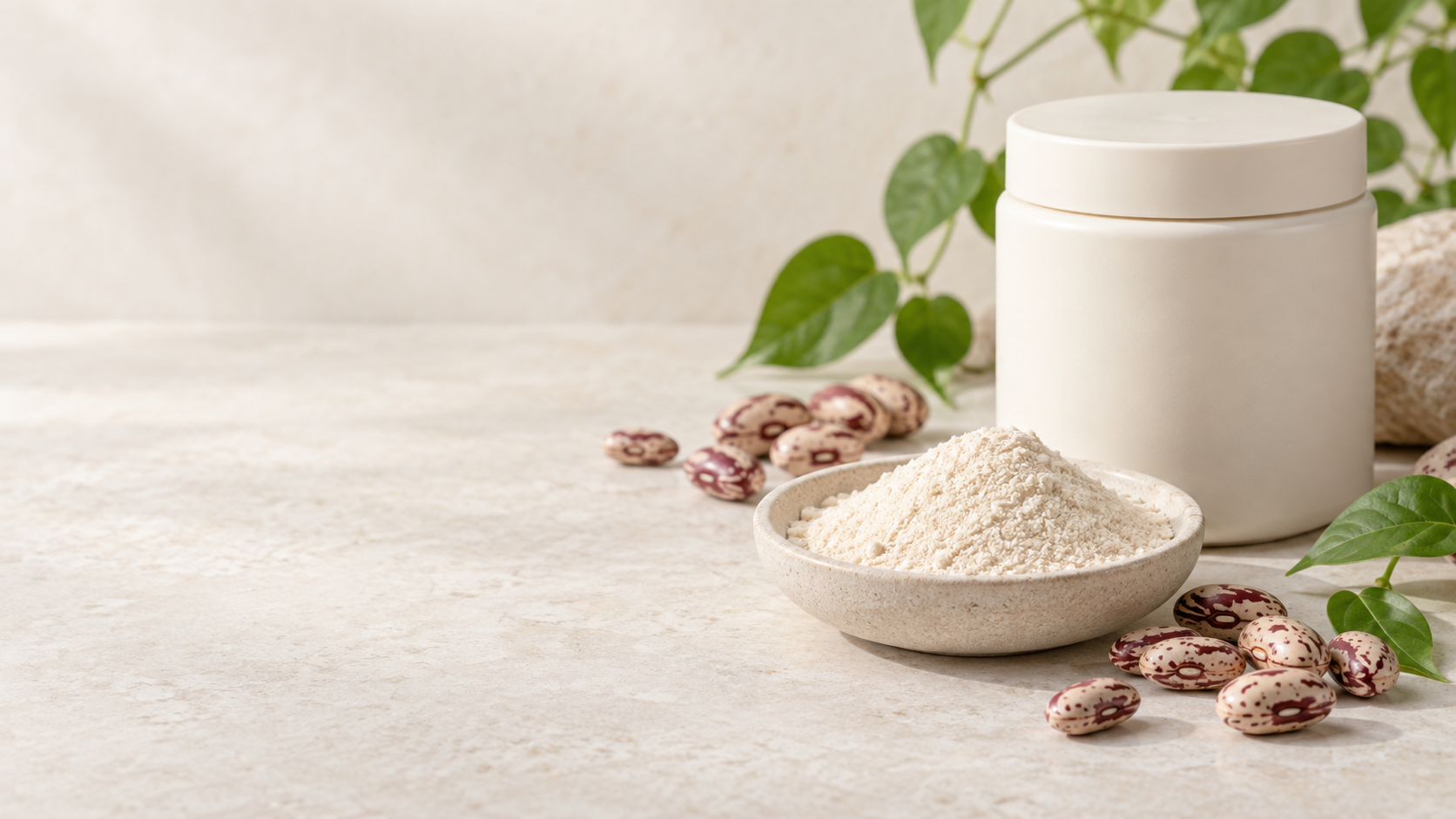 Rice Bean Protein Hydrolysate ingredient sourcing presentation