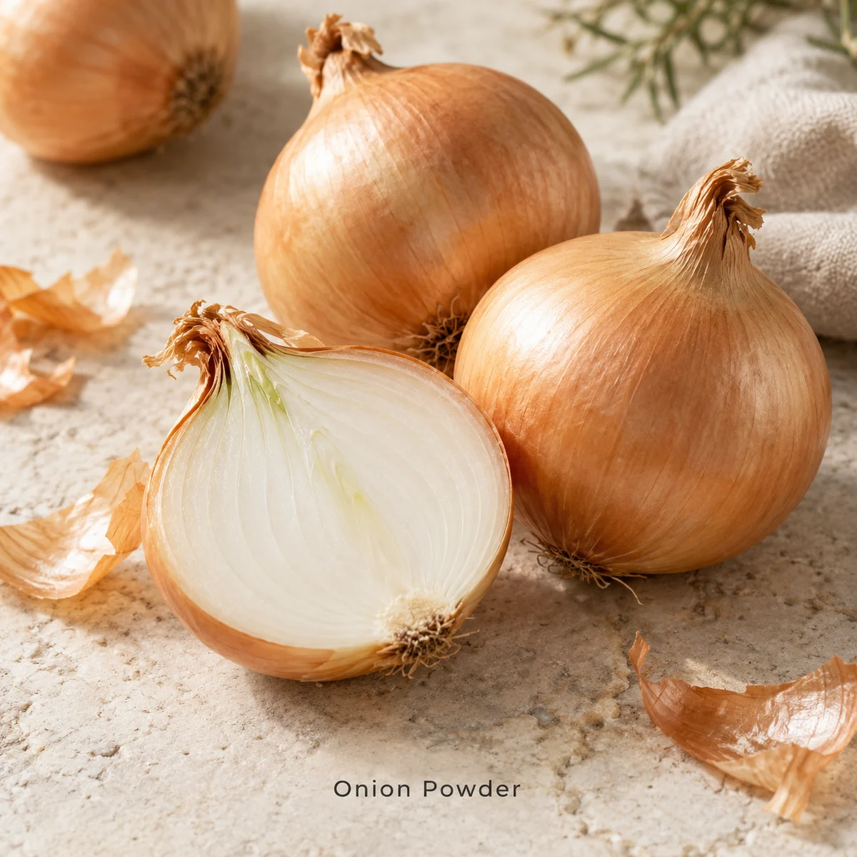 Onion Powder botanical sourcing concept