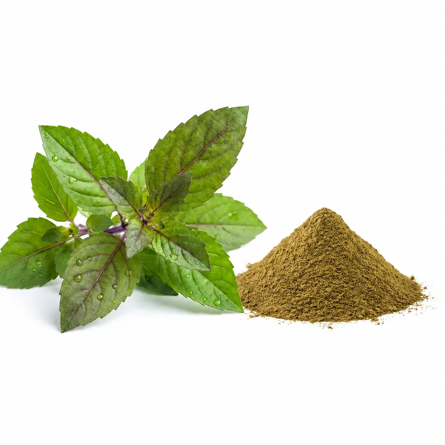 Holy Basil Extract ingredient presentation
