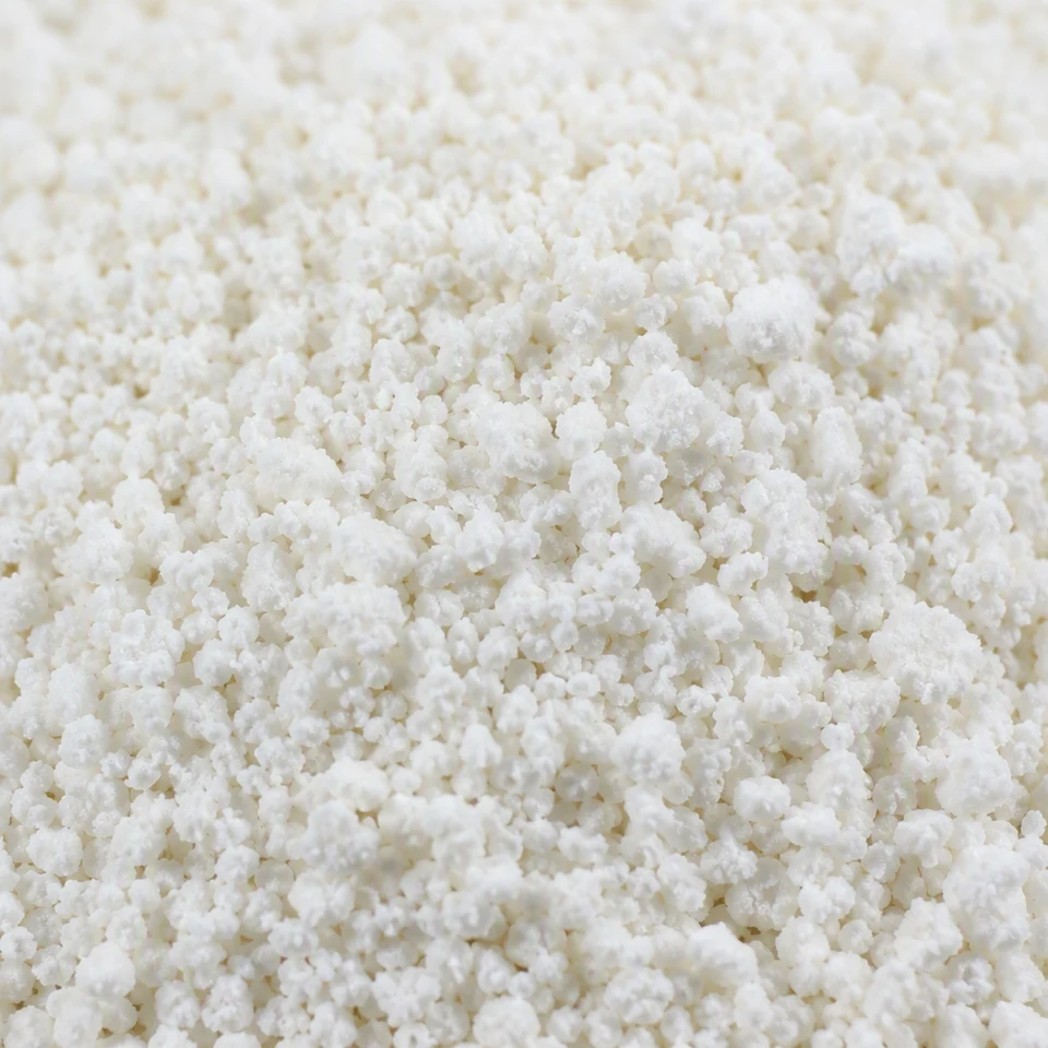 Close-up Alpha-GPC granular ingredient form