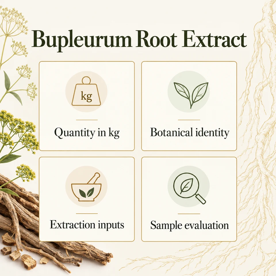 Bupleurum Root Extract procurement questions for kg quantity, extraction, samples and documents