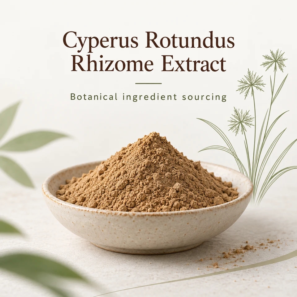 Cyperus Rotundus Rhizome Extract botanical sourcing presentation