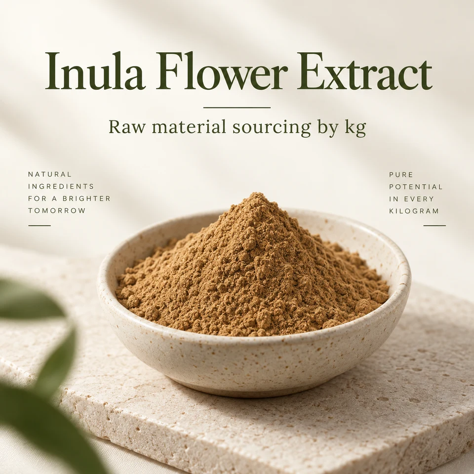 Inula Flower Extract ingredient marketing presentation