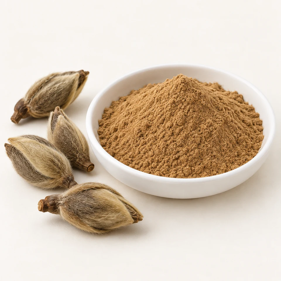 Magnolia Flower Bud Extract powder and unopened buds marketing visual