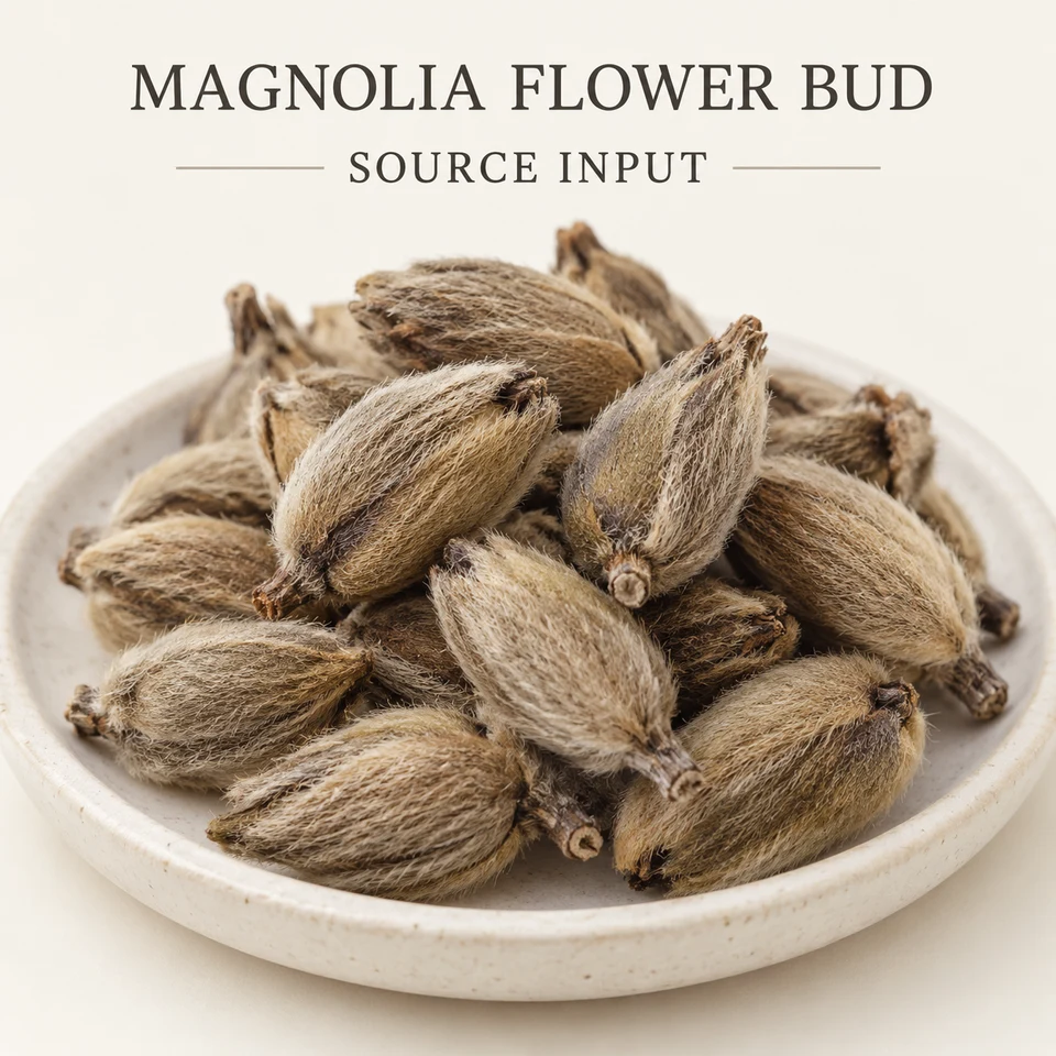 Dried magnolia flower-bud source input