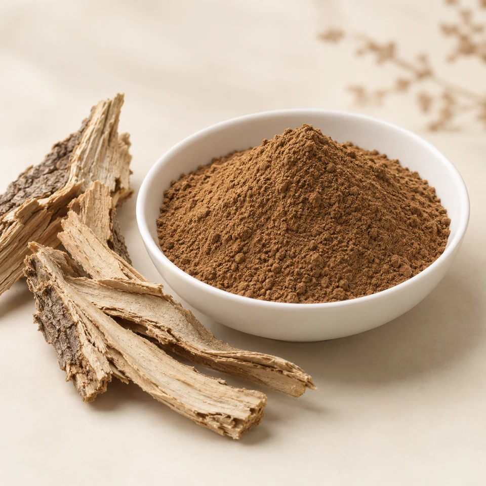 Mulberry Bark Extract powder and bark ingredient marketing visual