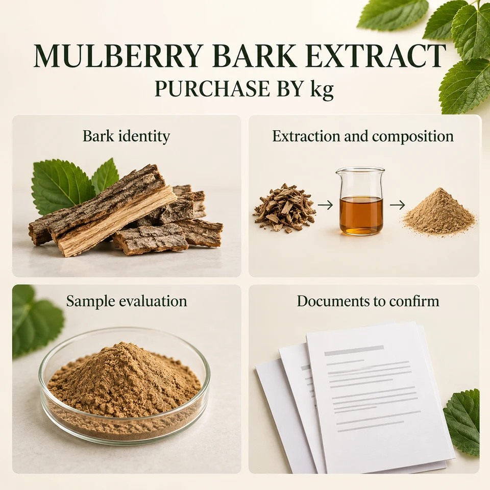Mulberry bark extract procurement planning topics by kg