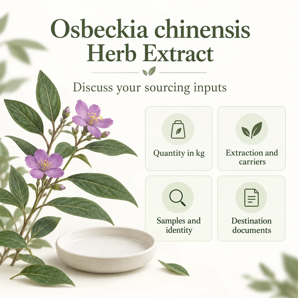 Osbeckia Chinensis Herb Extract procurement questions for kg quantity, extraction, samples and documents