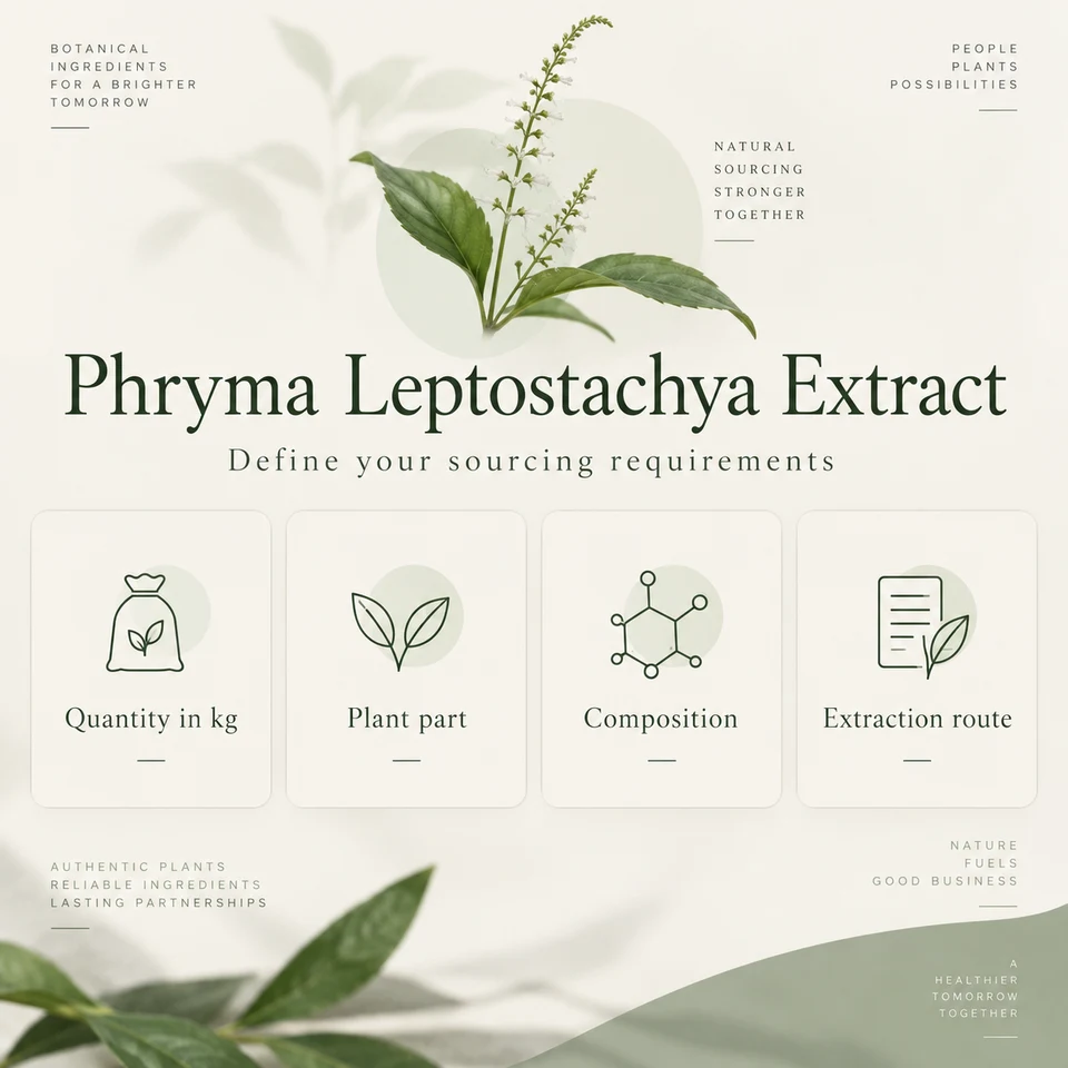 Phryma Leptostachya Extract procurement questions for kg quantity, extraction, samples and documents