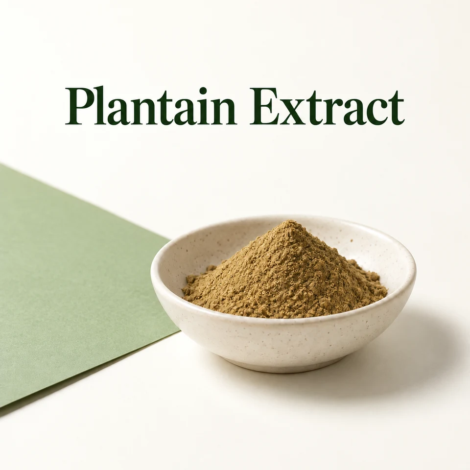 Plantain Extract ingredient marketing presentation