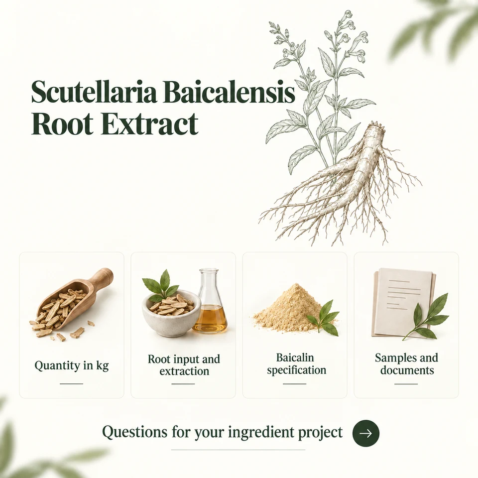 Scutellaria Baicalensis Root Extract procurement questions for kg quantity, extraction, samples and documents
