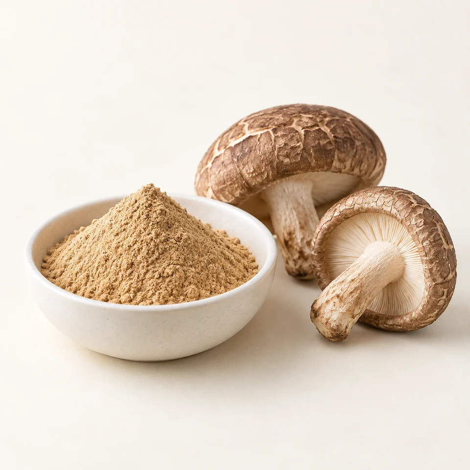 Shiitake Mushroom Extract ingredient marketing visual