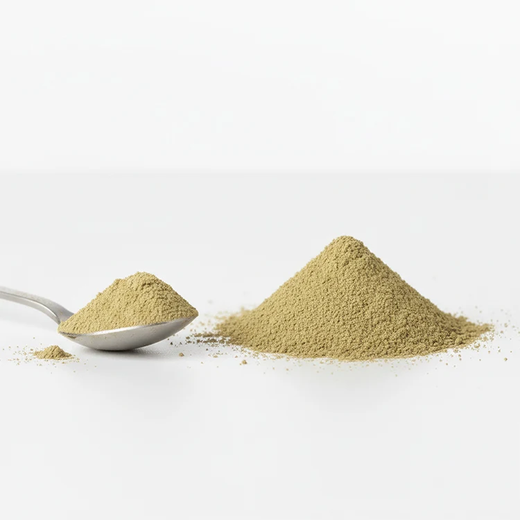 Fine senna leaf extract powder and scoop context