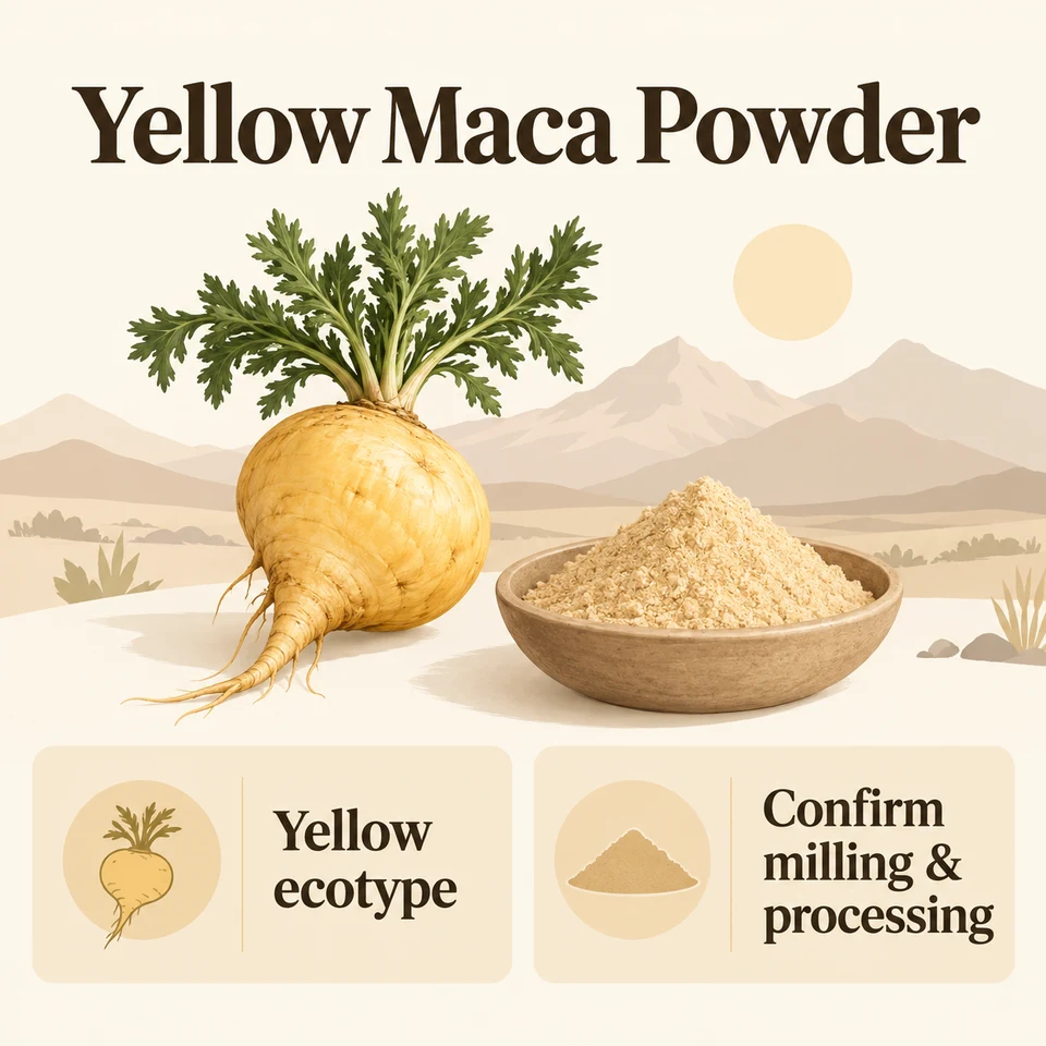 Yellow maca source root and milling input