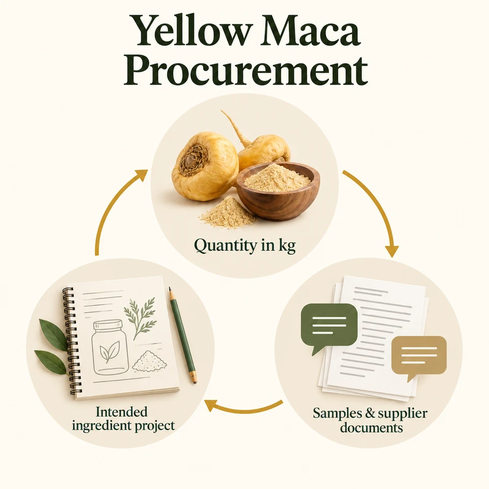 Yellow maca powder procurement planning by kg