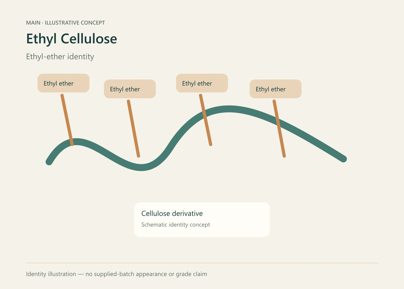 Ethyl Cellulose illustrative ingredient concept