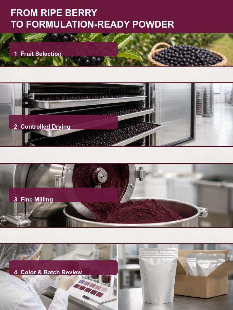 Aronia Berry Powder for Bulk Ingredient Sourcing product detail image 8