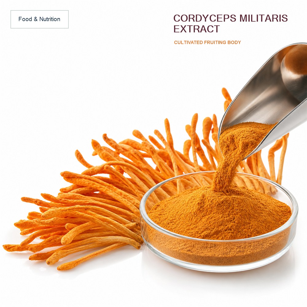 Cordyceps Extract for Bulk Ingredient Sourcing product main image