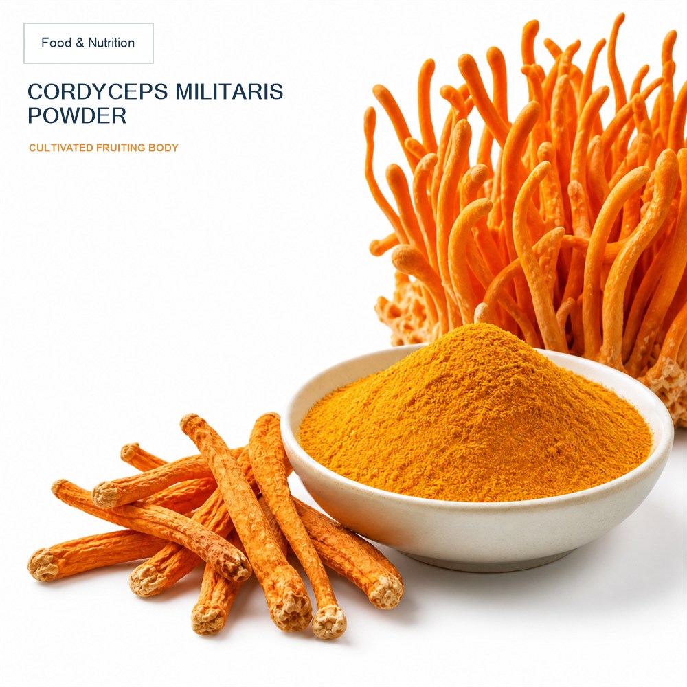 Cordyceps Sinensis Powder for Bulk Ingredient Sourcing product main image