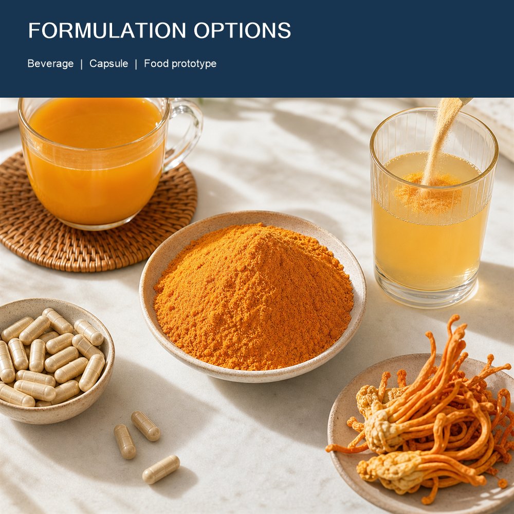 Cordyceps Sinensis Powder for Bulk Ingredient Sourcing product detail image 5