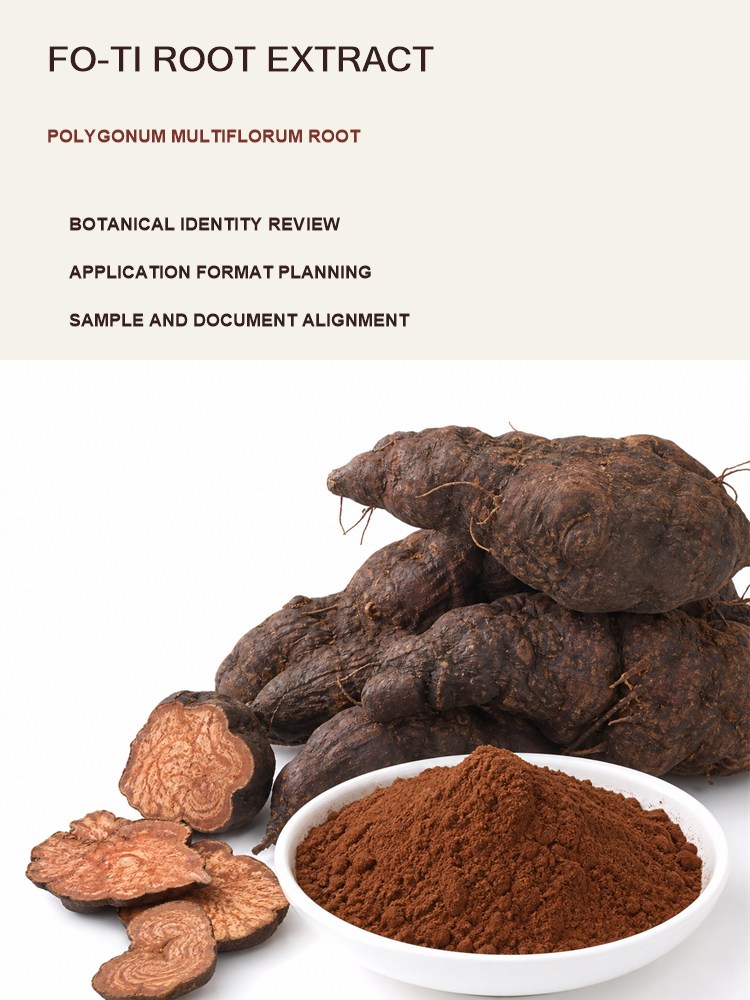 Fo-Ti Extract for Bulk Ingredient Sourcing product detail image 7