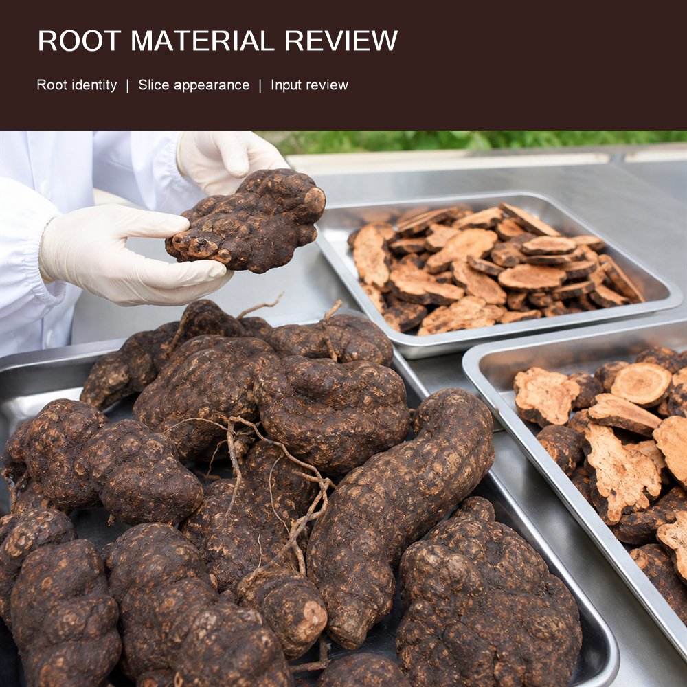 Fo-Ti Extract for Bulk Ingredient Sourcing product detail image 2