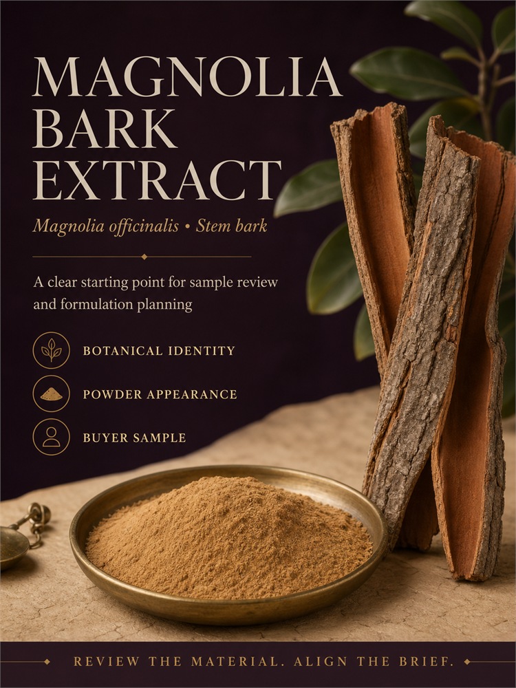 Magnolia Bark Extract for Bulk Ingredient Sourcing Specification and product detail