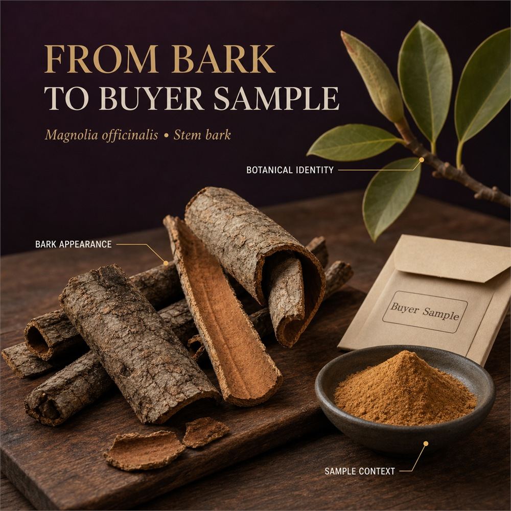 Magnolia Bark Extract for Bulk Ingredient Sourcing product image 2