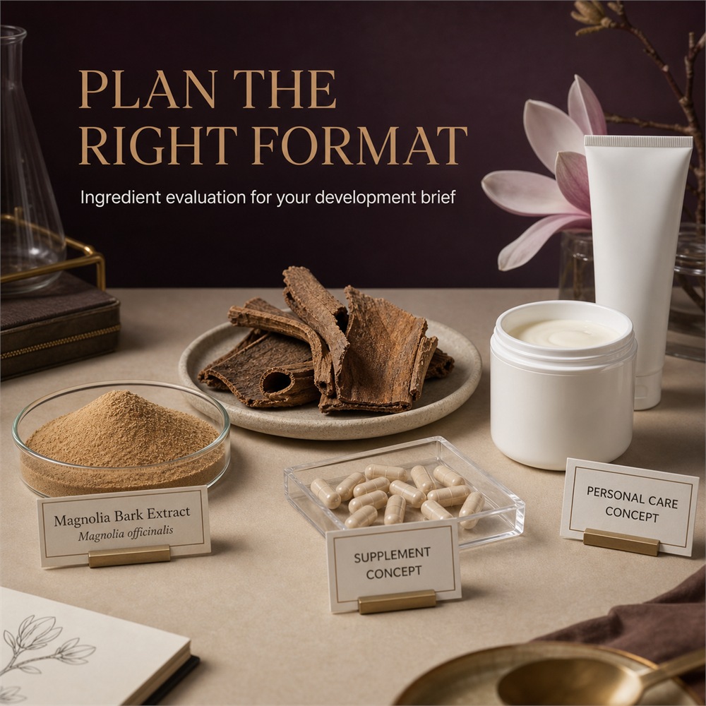 Magnolia Bark Extract for Bulk Ingredient Sourcing product image 4
