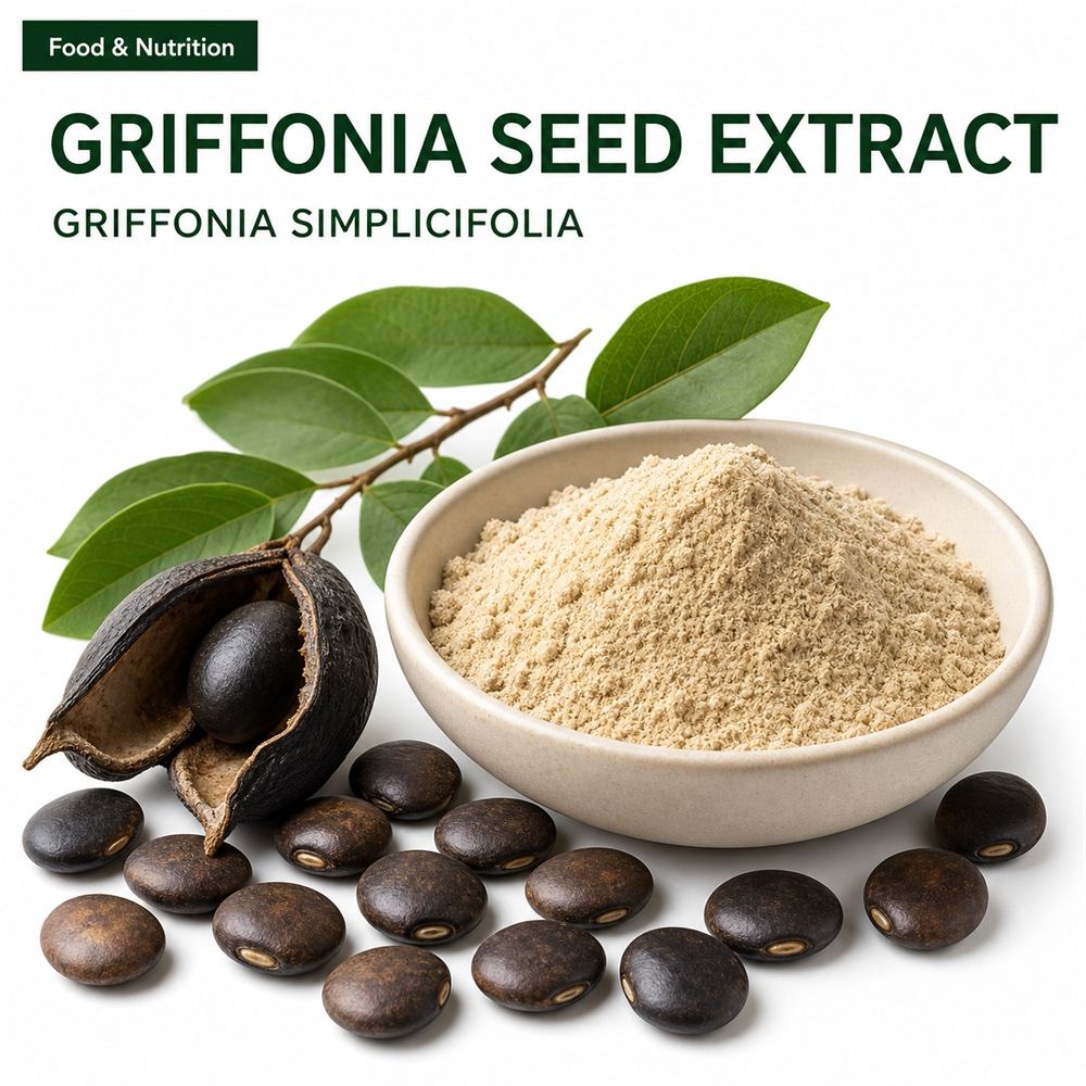 Griffonia Seed Extract for Bulk Ingredient Sourcing product main image